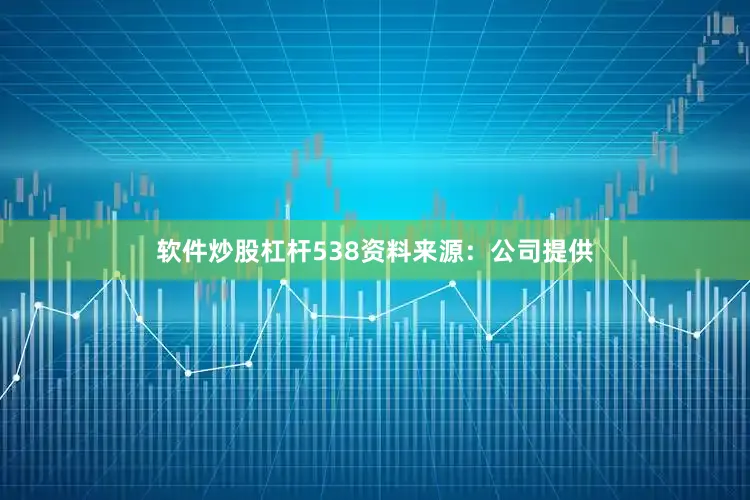 软件炒股杠杆538资料来源：公司提供