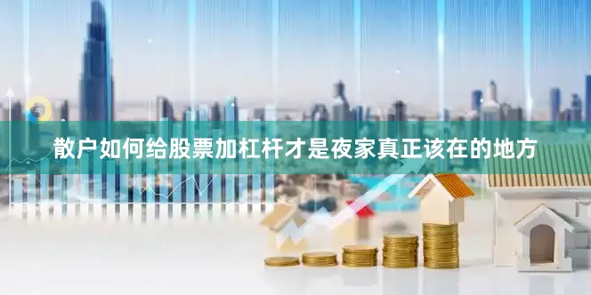 散户如何给股票加杠杆才是夜家真正该在的地方